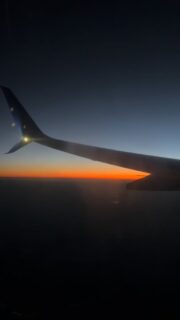 I’ve been wanting to post this photo dump of an incredible trip I took in the fall to beautiful Mexico for Día de los Muertos.  Mexico has such a special place in my heart, and I am sending so much love and hope for safety to the people there right now.💚
#traveldiaries#thinkingofmexico#loscabos#mexicomagic